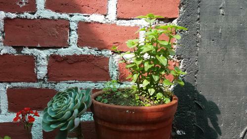 Apartamento Hostel Viajeros Arequipa