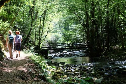 Agroturismo Vintage House Podliparska