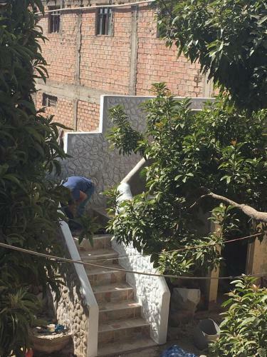 Hotel Las Palmeras Eco Hostel