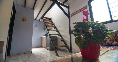 Apartamento Villa Guacamayo