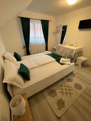 Hostal Pensiunea Drago? Vod? Breb