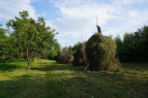 Hostal Small Apartment In Breb S Cosy Barn