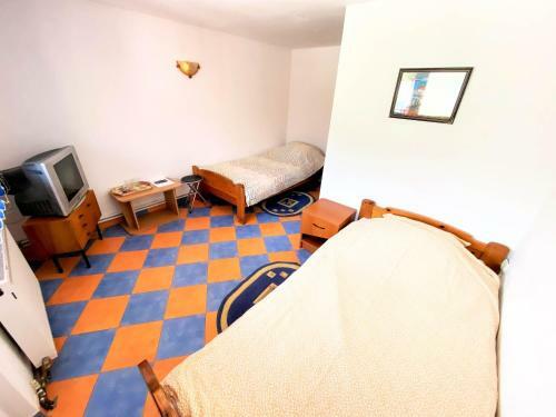 Hostal Pensiunea Ramona