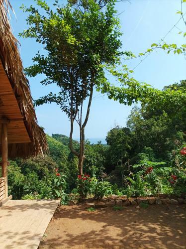 Lodge Finca La Selvita