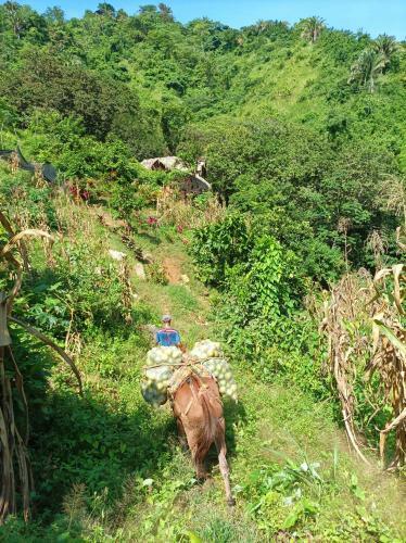 Lodge Finca La Selvita