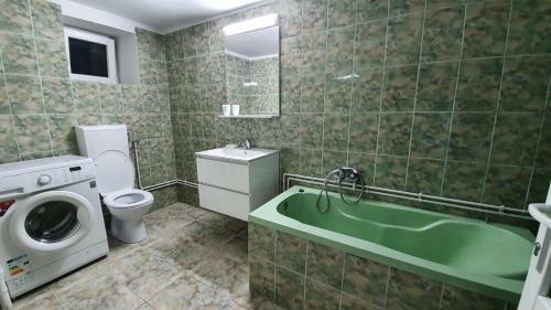 Adinel-cas? de Vacan?? �n Apuseni