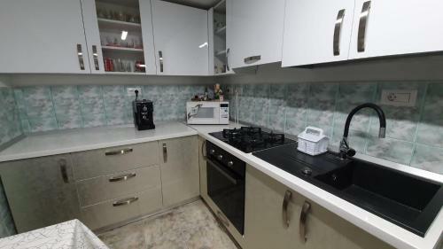 Adinel-cas? de Vacan?? �n Apuseni