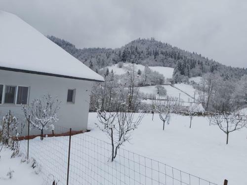 Adinel-cas? de Vacan?? �n Apuseni