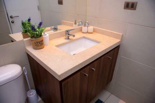 Apartamento C�lido Departamento En Concepci�n