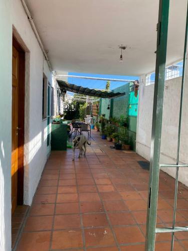 Apartamento Gladys House