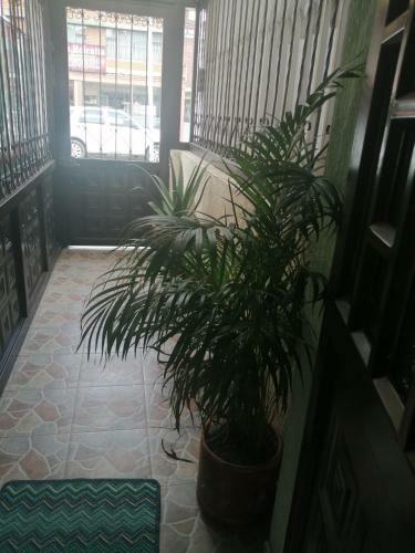 Apartamento Armon�a Santa Helenita