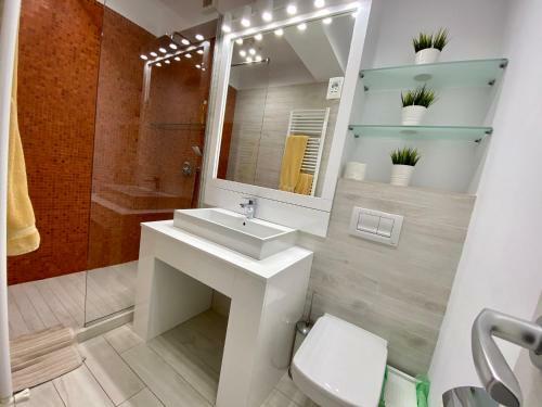 Luxury City Centre Apartments - Brasov