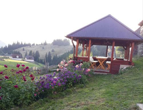 Villa Casa Padina Cu Pietre