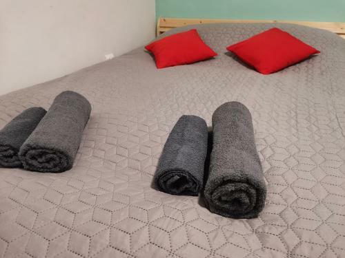 Apartamento Tampa Studio