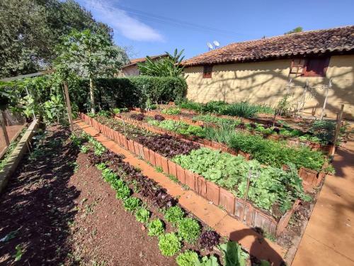 Fazenda Liberdade
