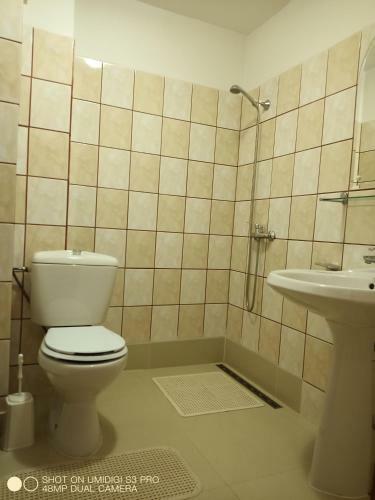 Hostal Casa Rodica Str. Clabucetului 28
