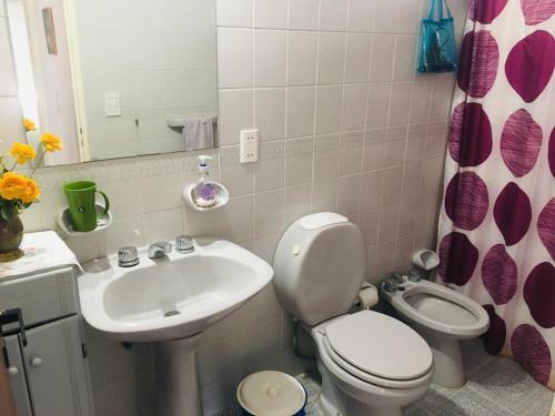 Apartamento Departamento Isabel