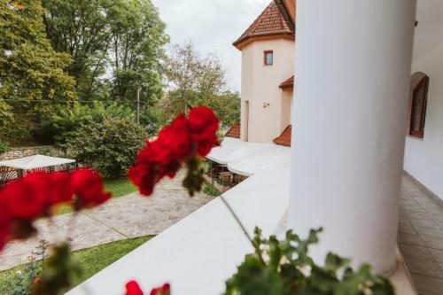 Hotel Janka Villa