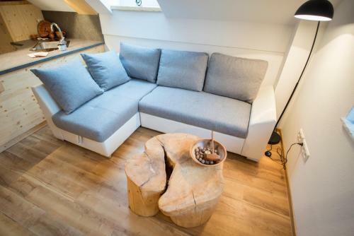 Apartmaji ?trud�l Bohinj