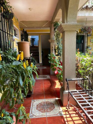 Casa Quetzalli