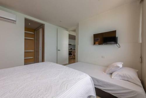 Palmetto Apartments Cartagena