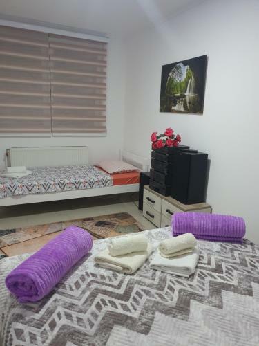 Pejovic Apartmani