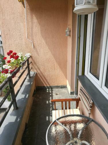 Helena Apartment