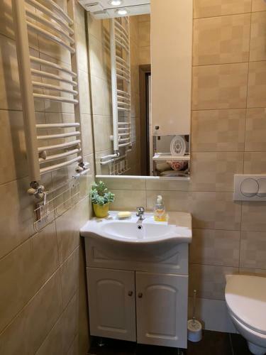 Vacanza Apartment Novi Sad