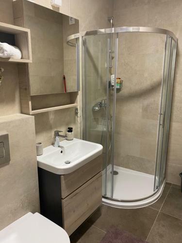 Apartment Pupin Star - City Centre