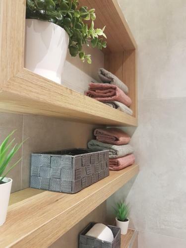 Tesla 3 Apartment