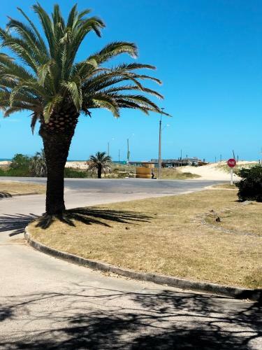Apartamento Terra 3
