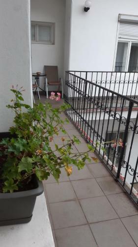 Private Apartment Close To Cathedral