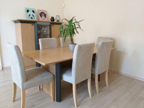 M10 Old Town Apartments Kosice