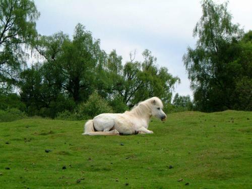 Agroturismo Ardgarry Farm