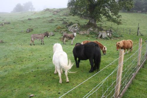 Agroturismo Ardgarry Farm