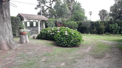 Casa San Lorenzo. Parque, Quincho, Pileta.