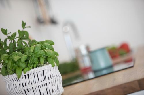 Family Apartment With Garden