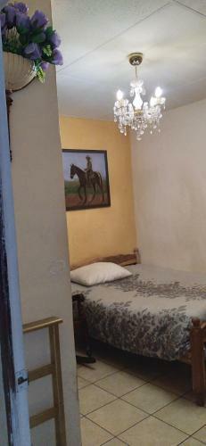 Hostal El Carmen