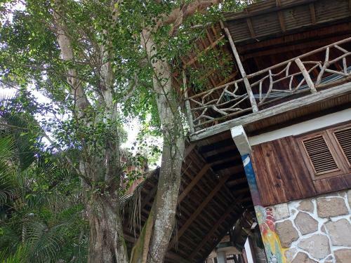 Hotel Nunkai Eco-hostal & Caf� Bosque
