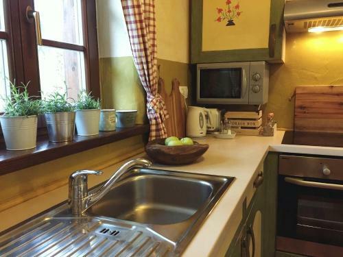 Apartments River Cottage Mojstrana
