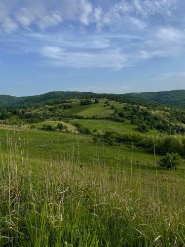 Apartamento ?umska Idila Rakovac