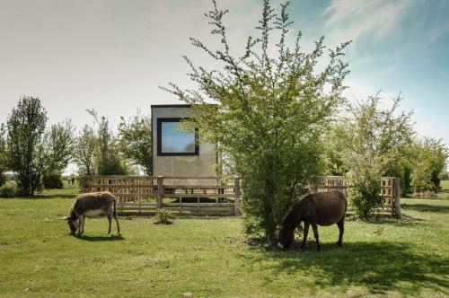 Buzzoffski Cabins _mirka_