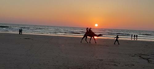 The Woods Beach Homestay