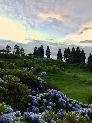 Hotel J P Lodge Kalimpong