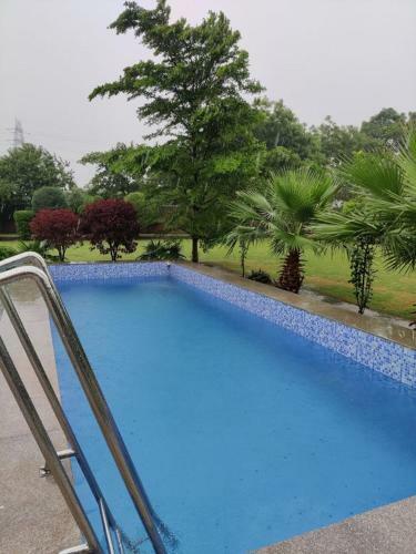 Madhuban Farms