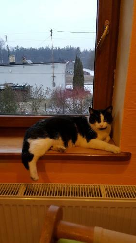 Zielona Mila Dom Wakacyjny