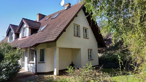 Mandarynkowy