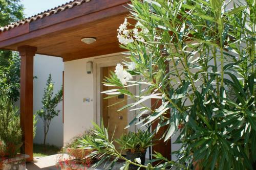 Villa Mimosa, Lavanta, Kalkan