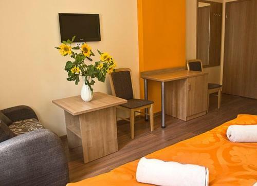 Bed & Breakfast Willa S?onecznik