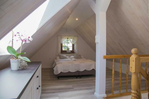 Apartamenty Eden